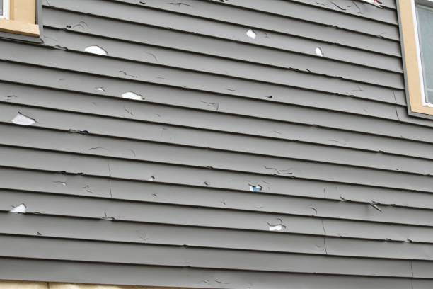 Best Aluminum Siding Installation  in Fyffe, AL